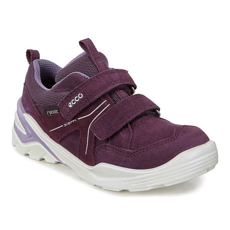 Zapatos Bajos Ecco Biom Vojage Para Niños,Moradas,160843-SMZ